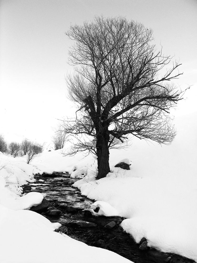 Photograph by Reyhane ajorloo