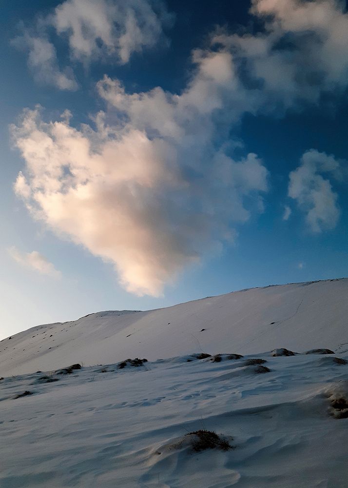 Photograph by Reyhane ajorloo