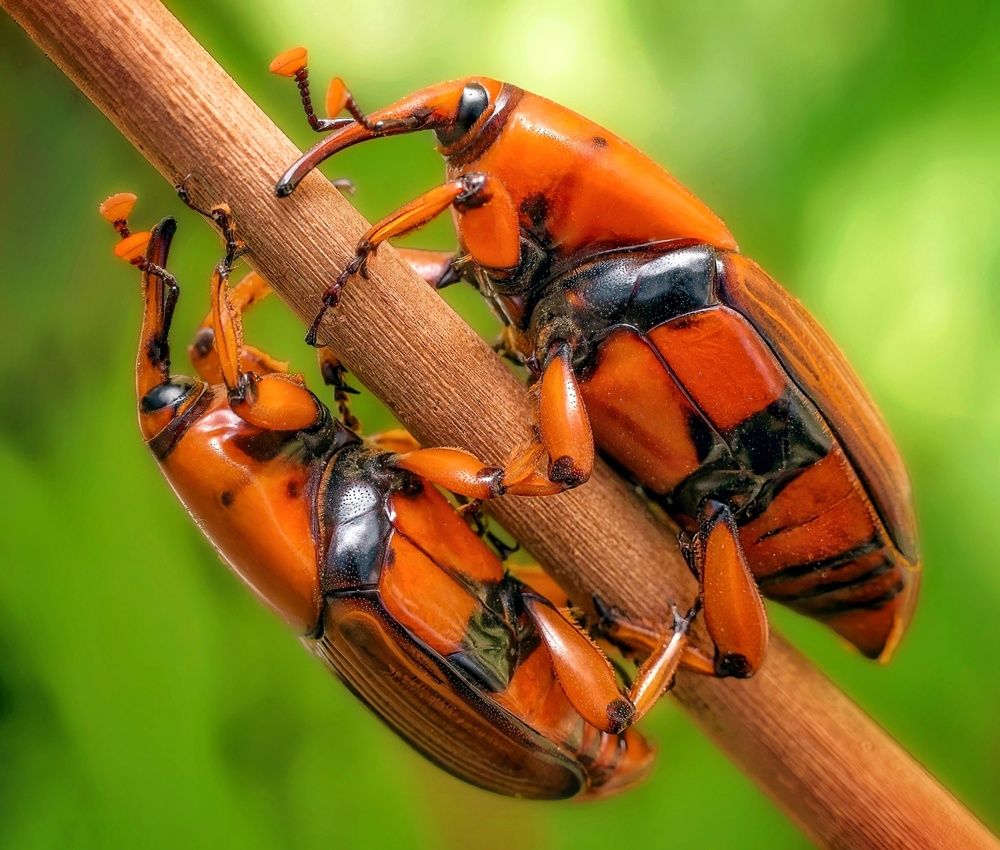 Photograph by Abolfazl Arab