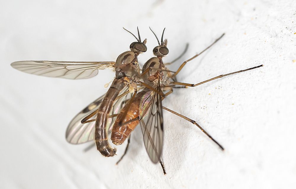 Photograph by Широких Александр