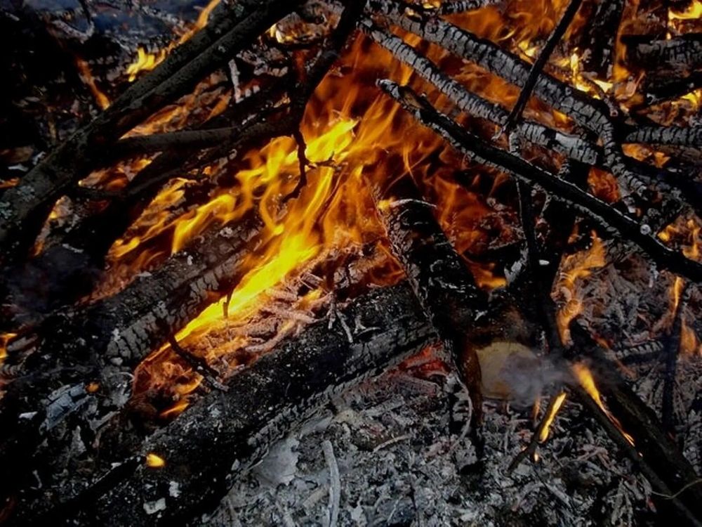 Фотография автора Павел Попов