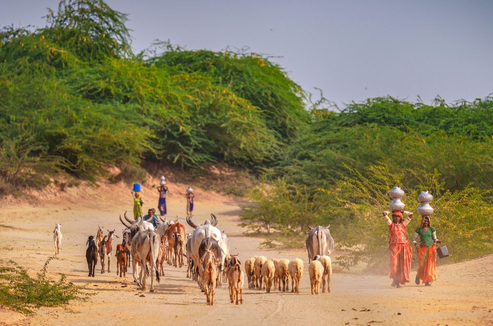 Photograph by Hussain Muhammad Asmar