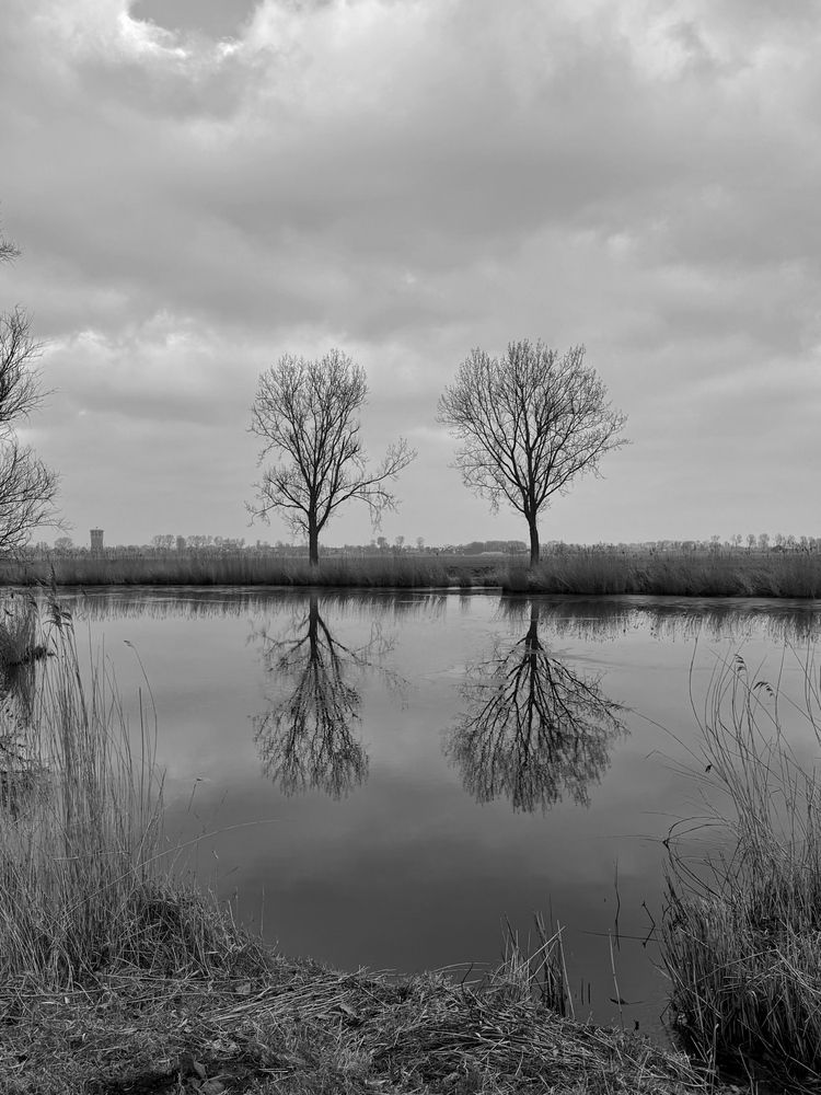 Photograph by Лидия