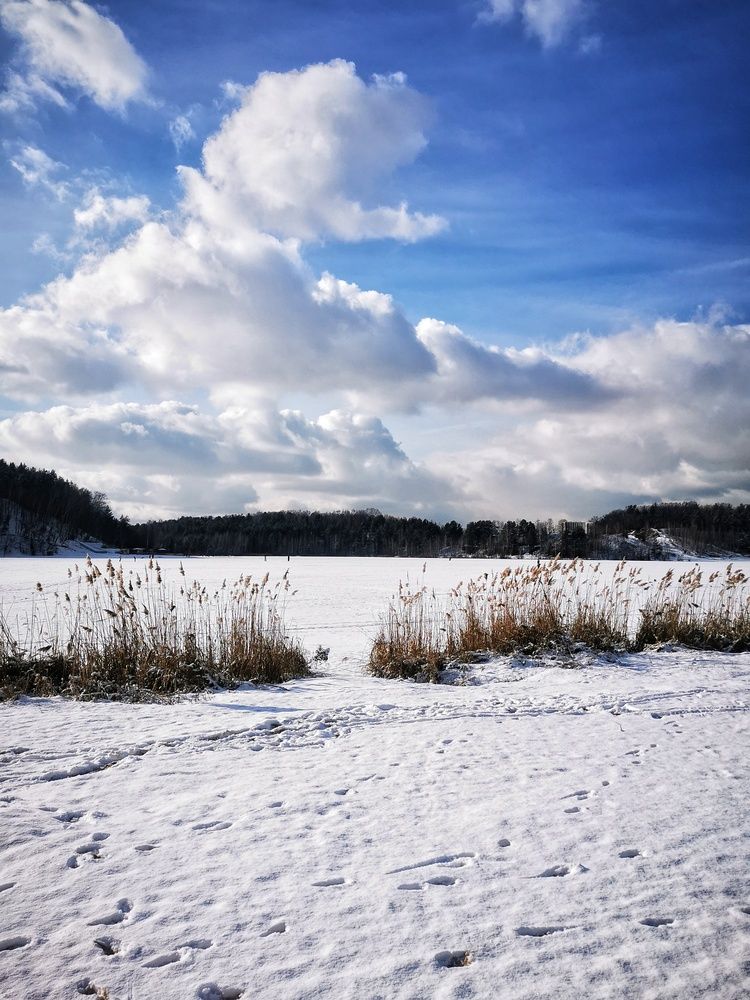 Photograph by Елена Артёменко