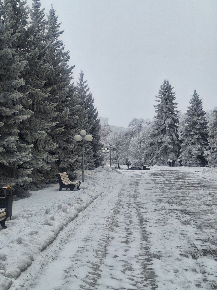 Photograph by Ирина