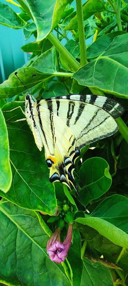 Photograph by Ирина Бочарова