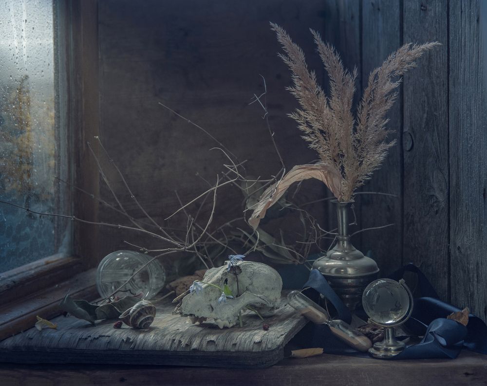 Фотография автора Шипунова Ирина