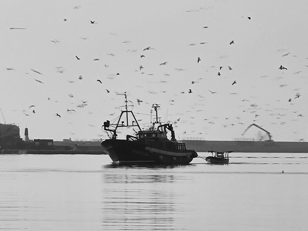 Photograph by Екатерина Харитонова