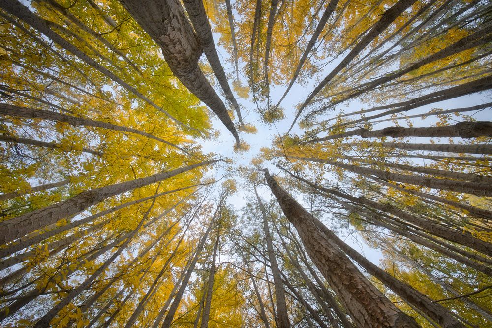 Photograph by Hussain Muhammad Asmar