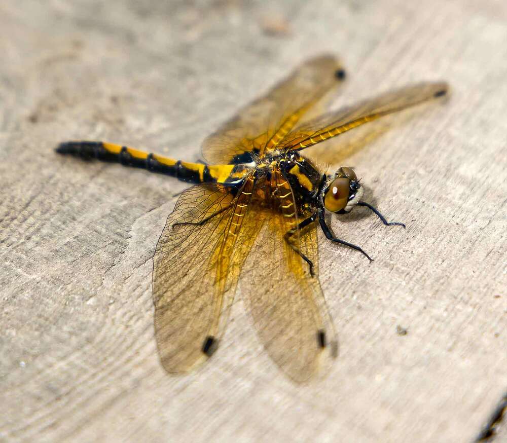 Photograph by Максим Фролов