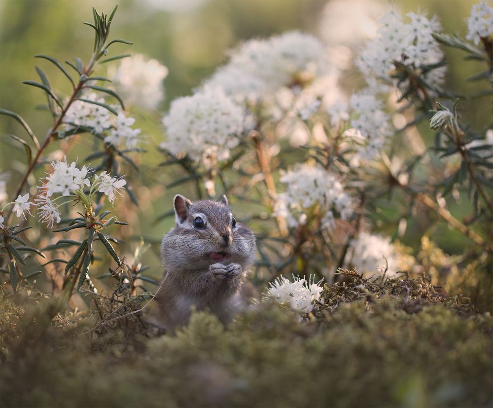 Photograph by Евгения Левина