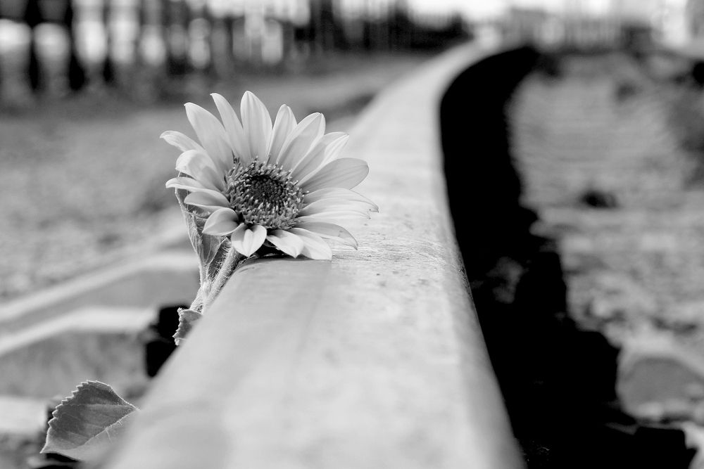 Photograph by Жанна Валиева