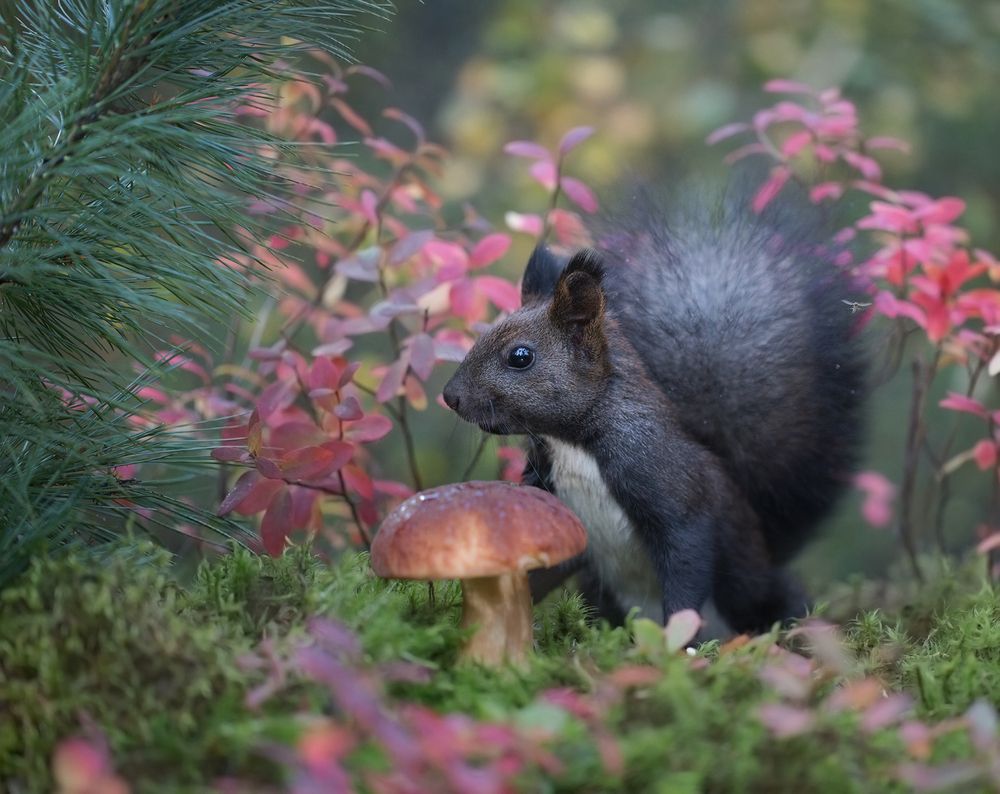 Photograph by Евгения Левина