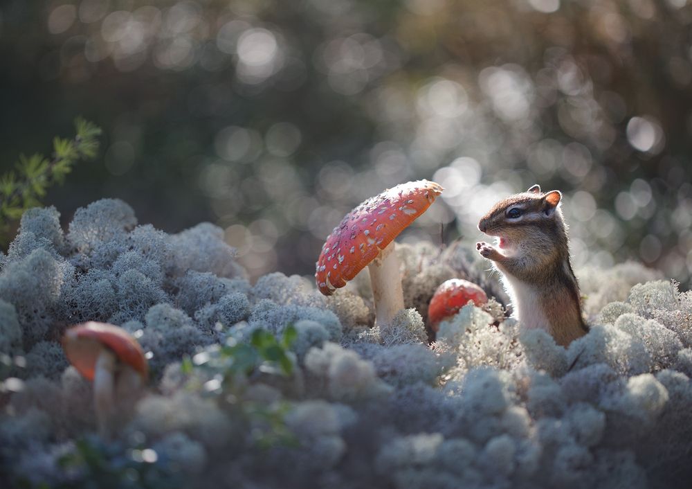 Photograph by Евгения Левина