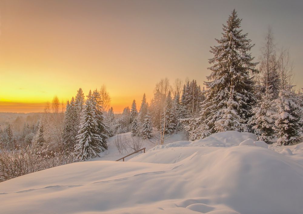 Photograph by Надежда Колеватова