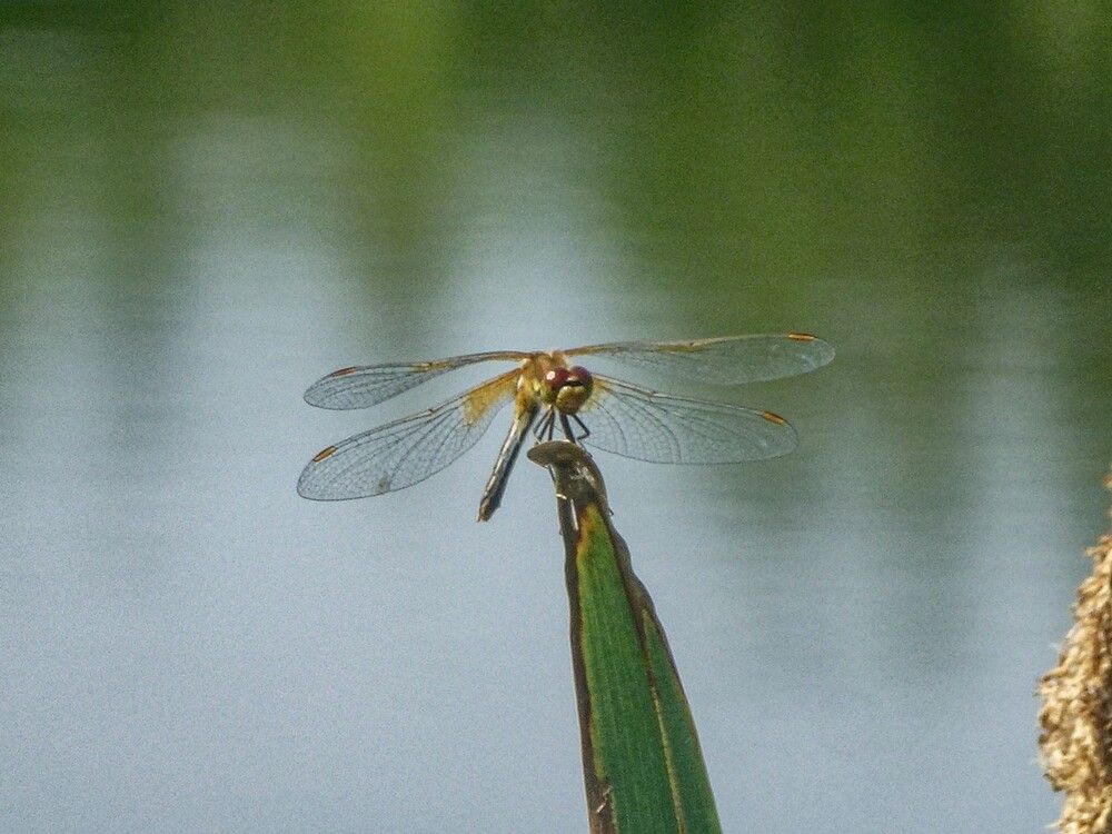 Photograph by Алексей Логинов