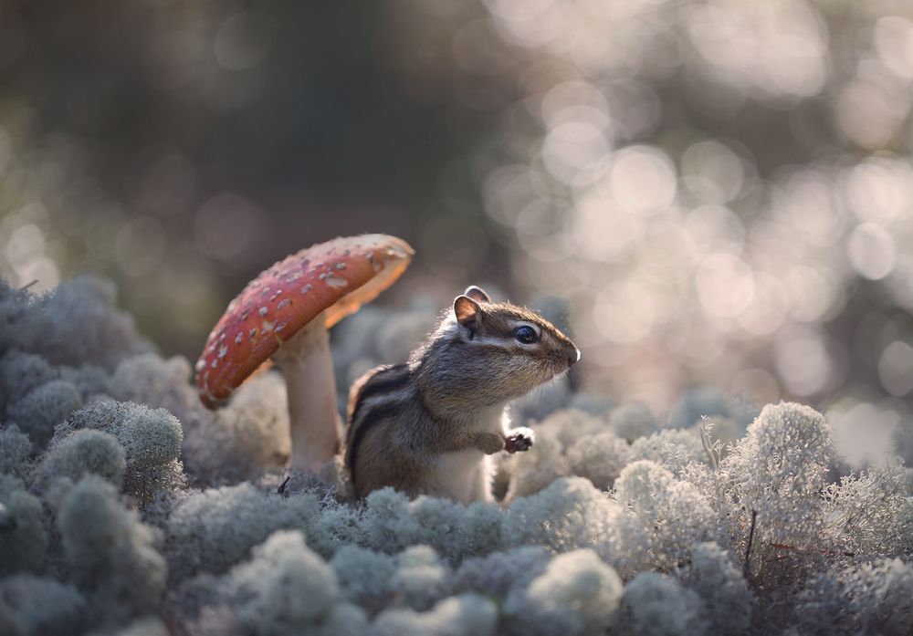 Photograph by Евгения Левина