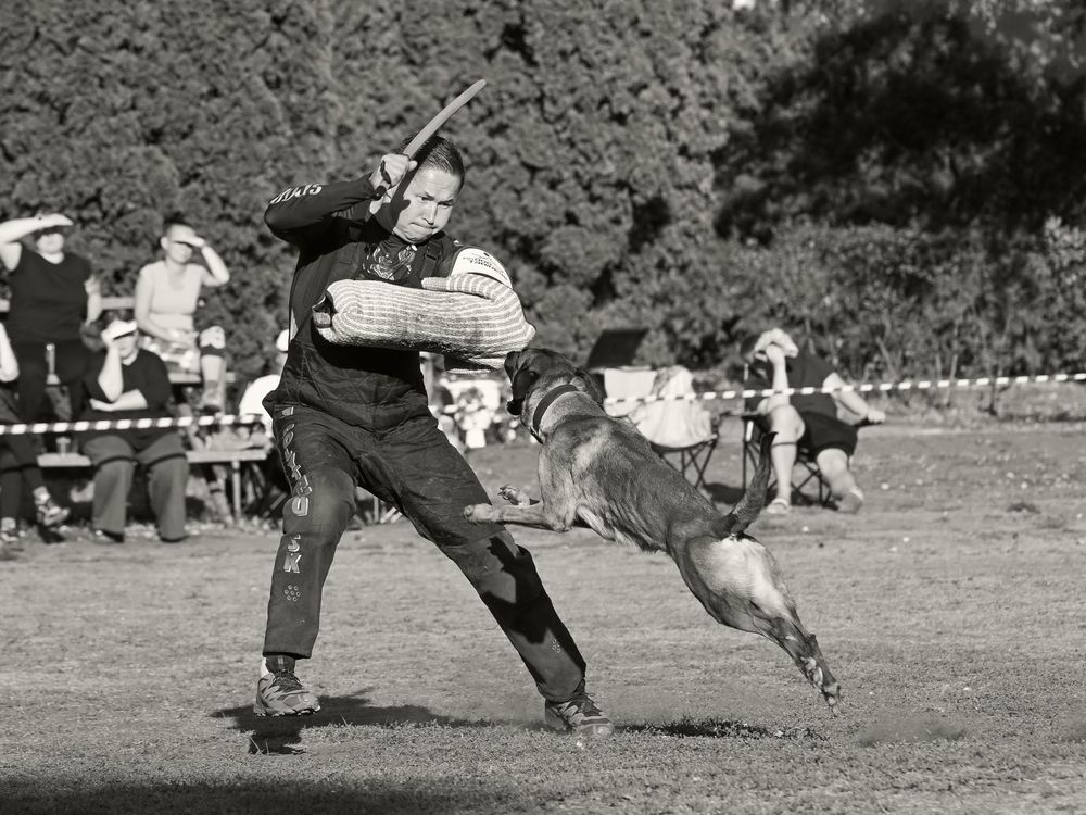 Фотография автора Дмитрий