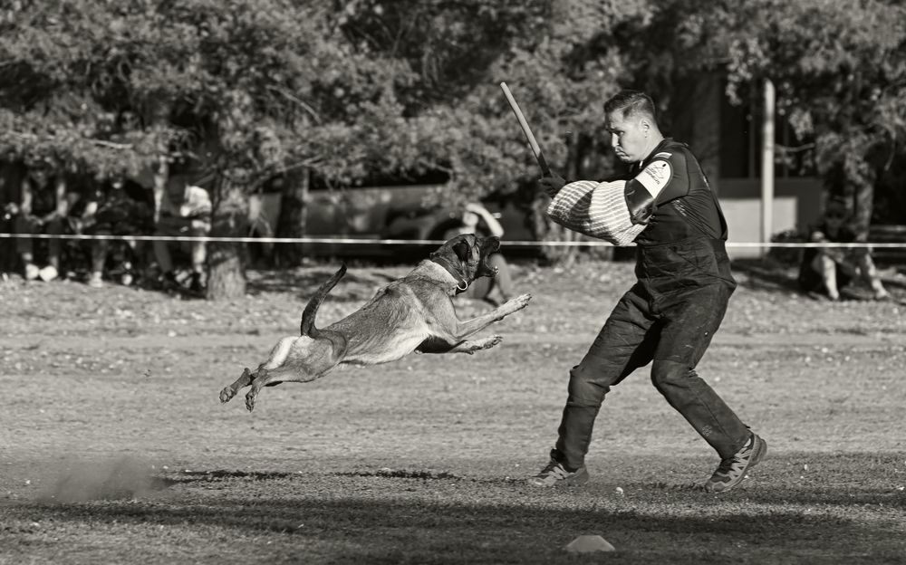 Фотография автора Дмитрий
