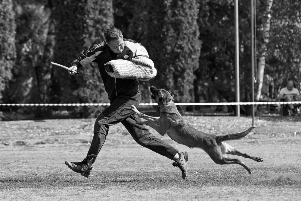 Фотография автора Дмитрий