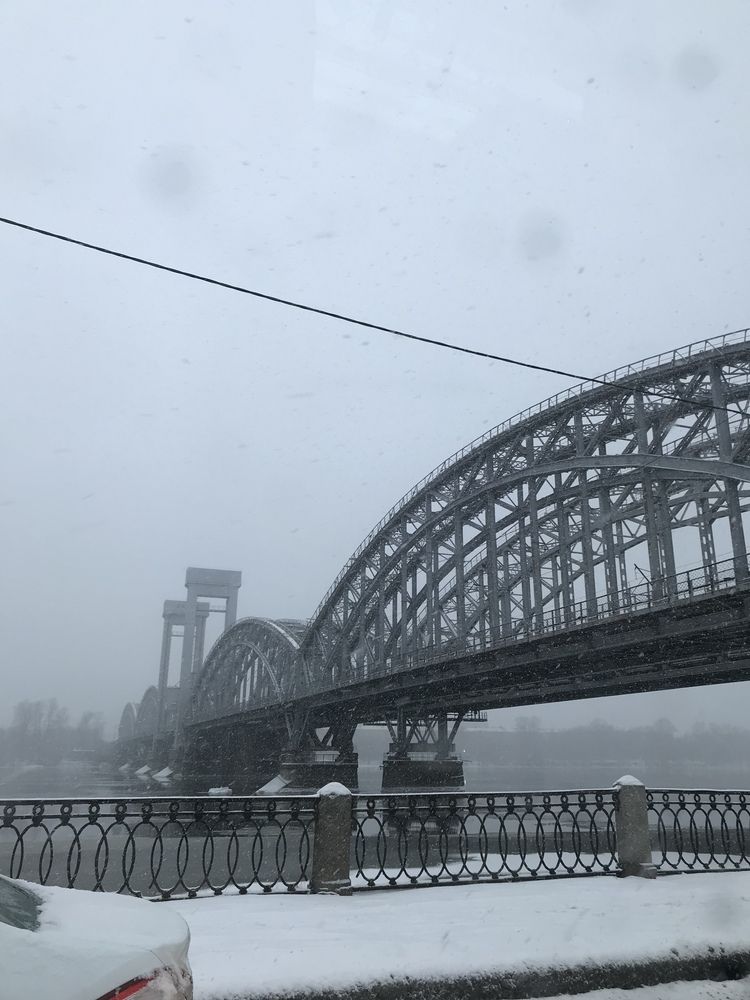 Фотография автора АННА ЛАЗАРЕВА
