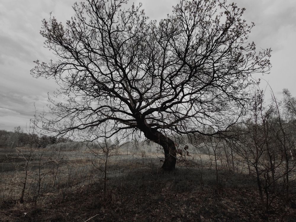 Photograph by Кирилл Сидоров