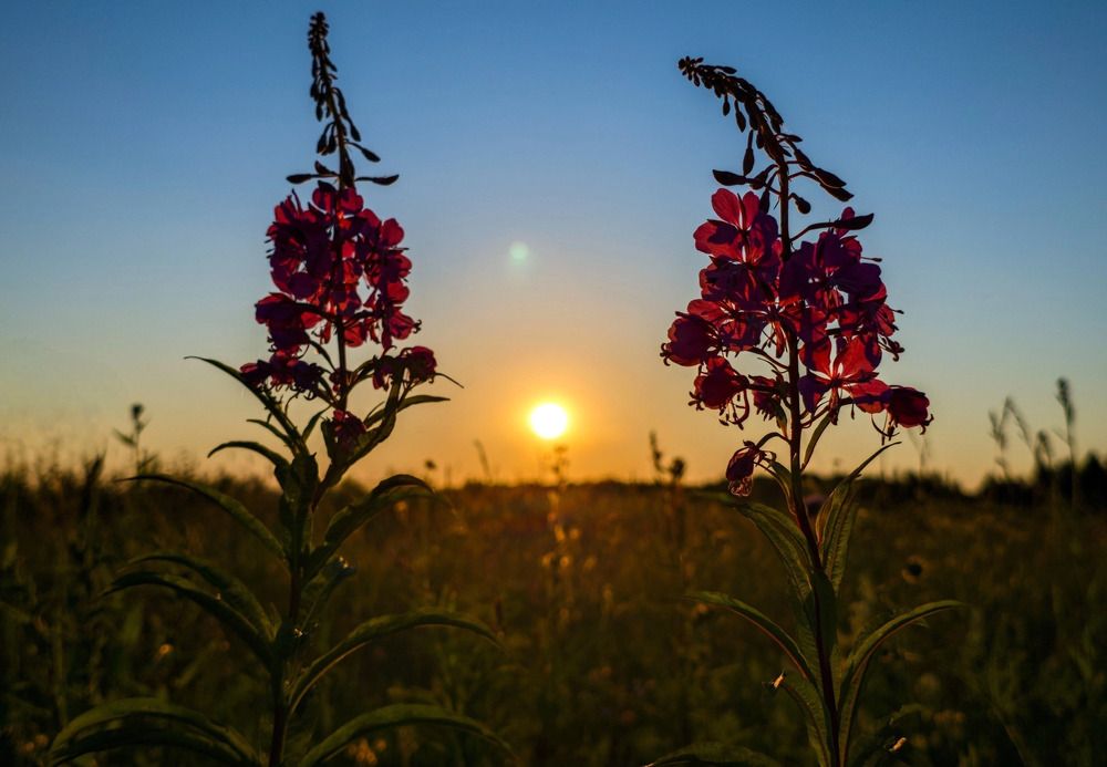 Photograph by Кирилл Сидоров