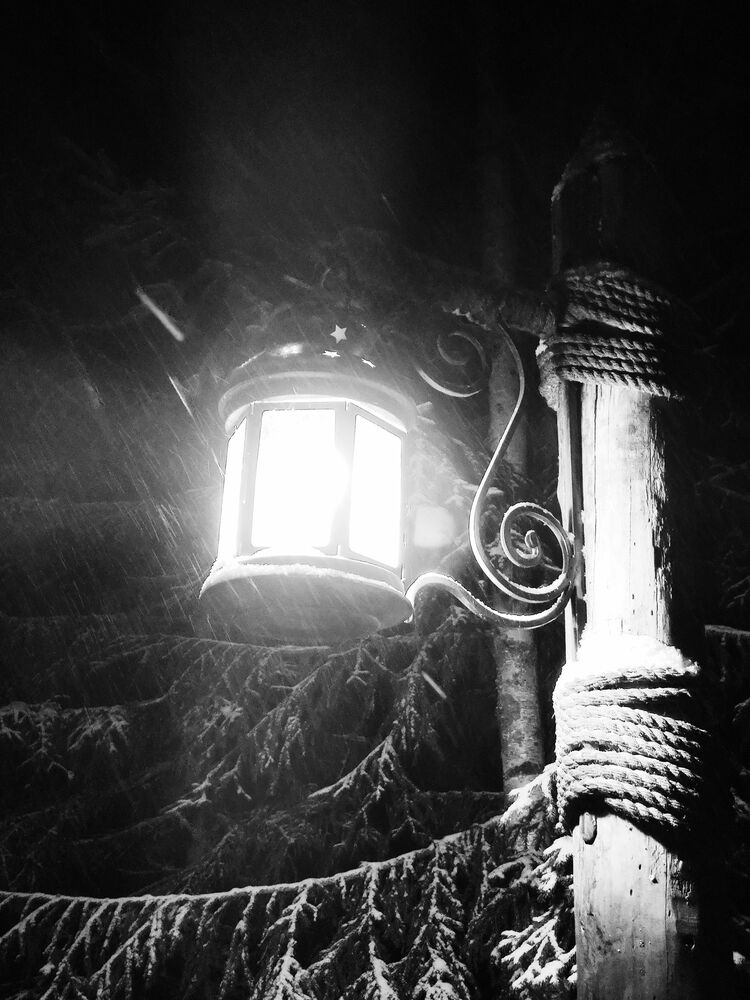 Photograph by Екатерина Степанова