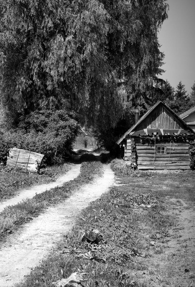 Photograph by Екатерина Степанова