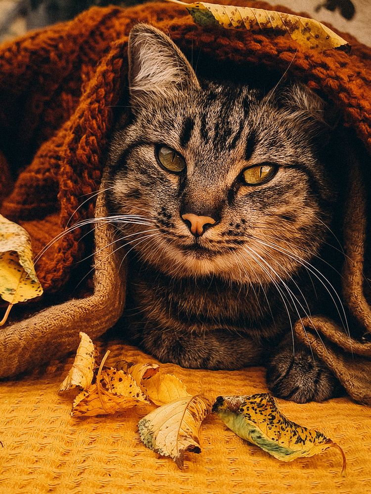 Photograph by Катрина Покумейко