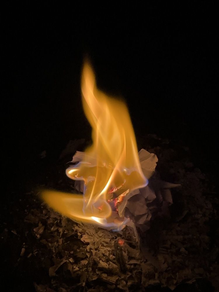 Photograph by Екатерина Козлова