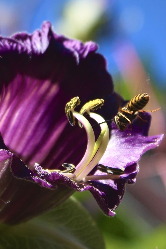 Photograph by Кира Иванова