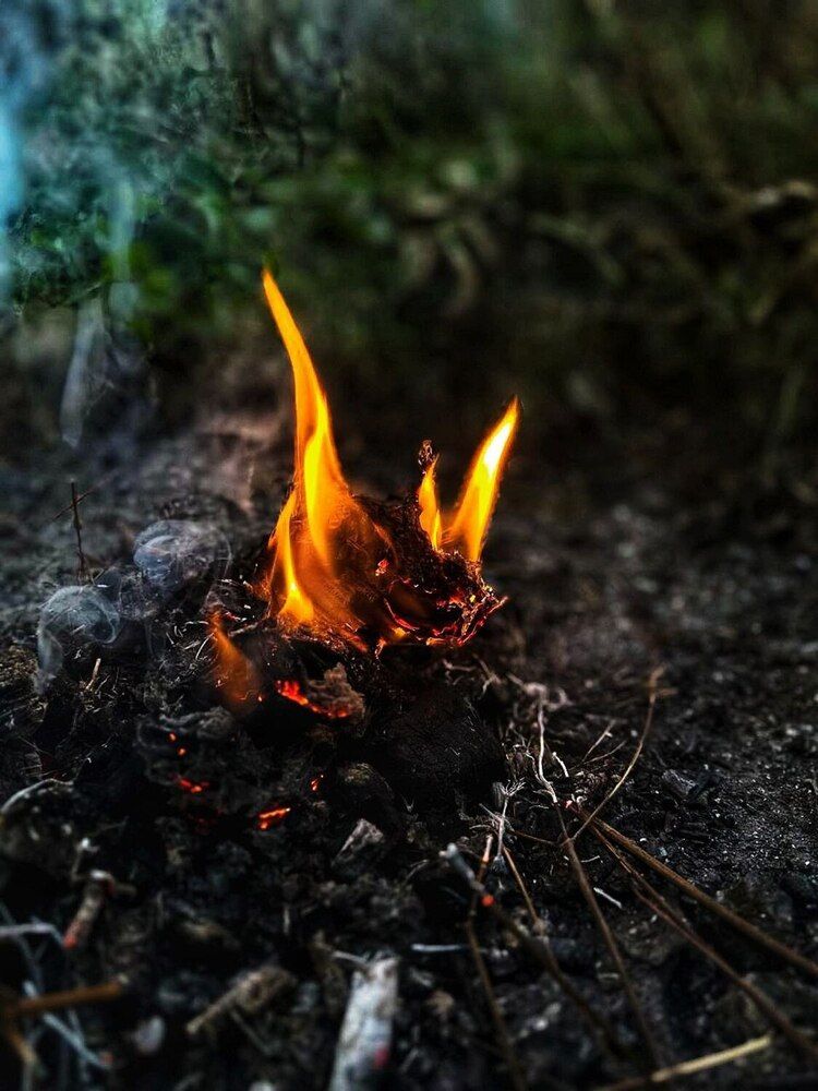 Photograph by Екатерина Козлова