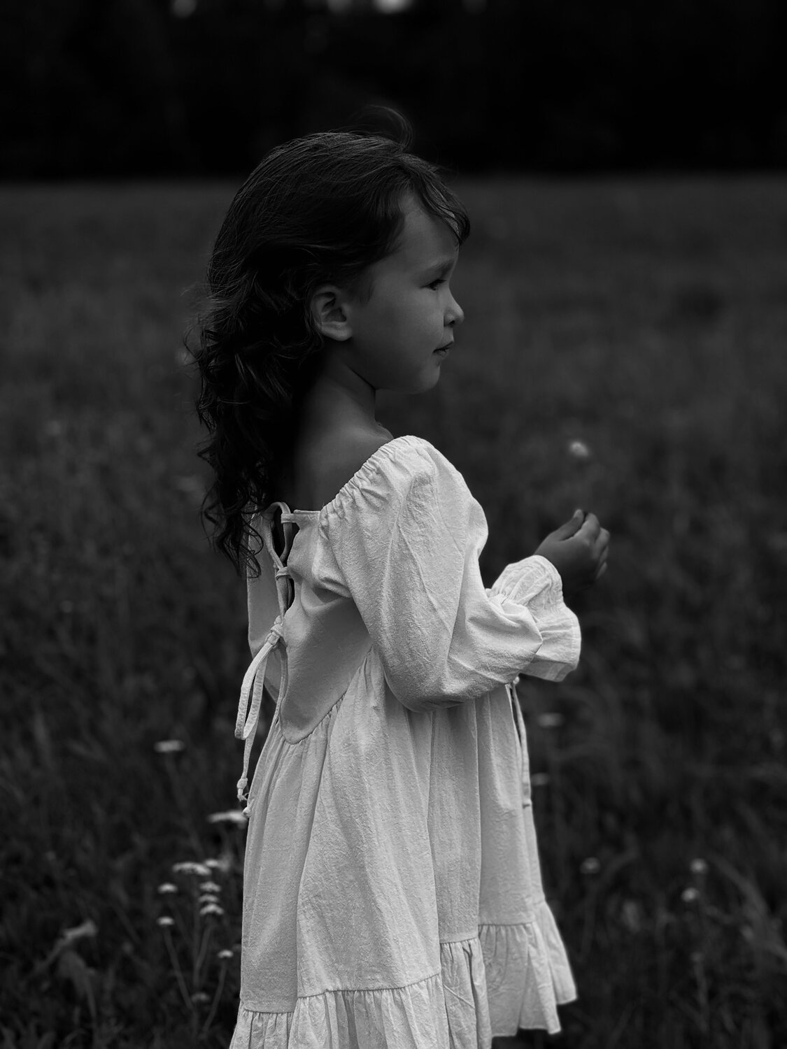 Photo #11927306