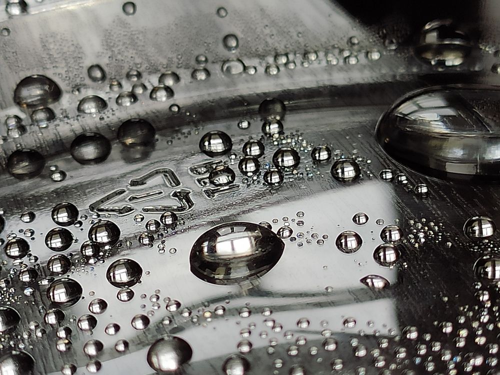 Photograph by Дарья