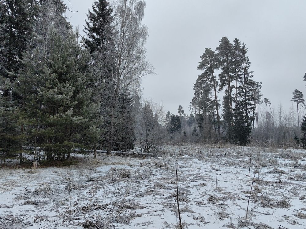 Photograph by Ольга Зимарина