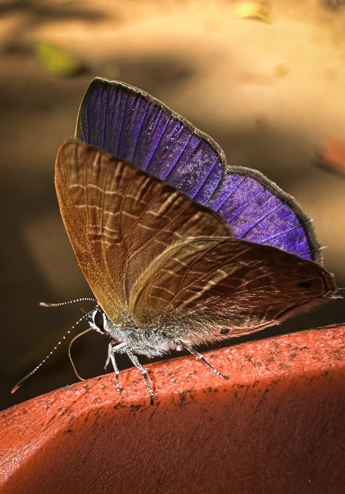 Photograph by Екатерина Козлова