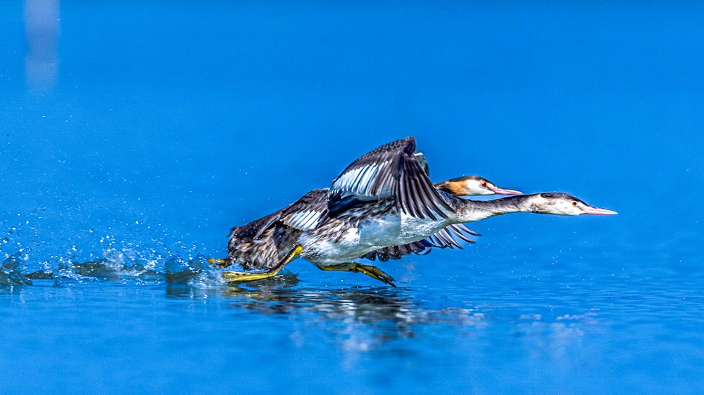 Photograph by Arnab Sarkar