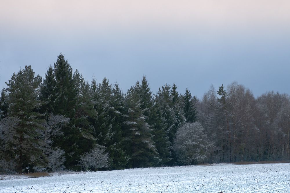 Photograph by Илья Ермакович