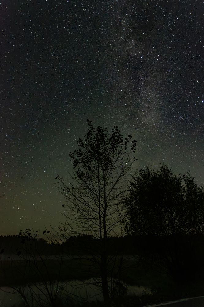 Photograph by Sergey Vatta