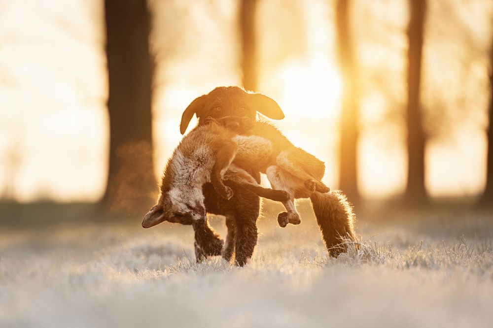 Photograph by Elke Braet