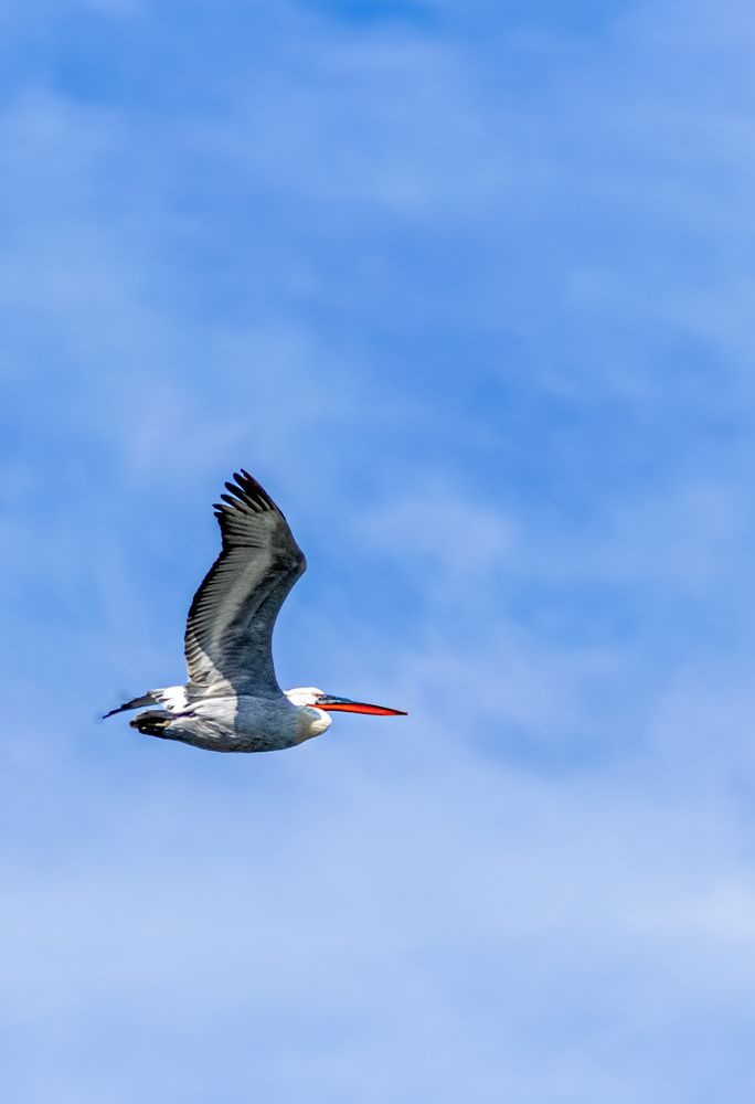 Photograph by Станислав К.