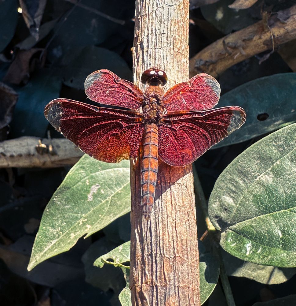 Photograph by Екатерина Козлова