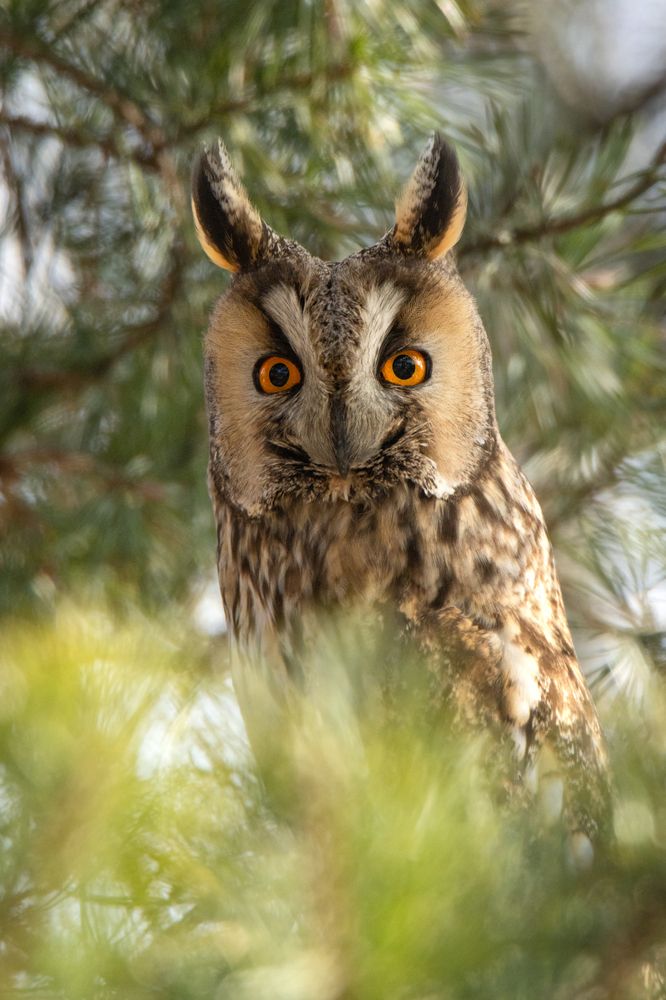 Photograph by Илья Ермакович