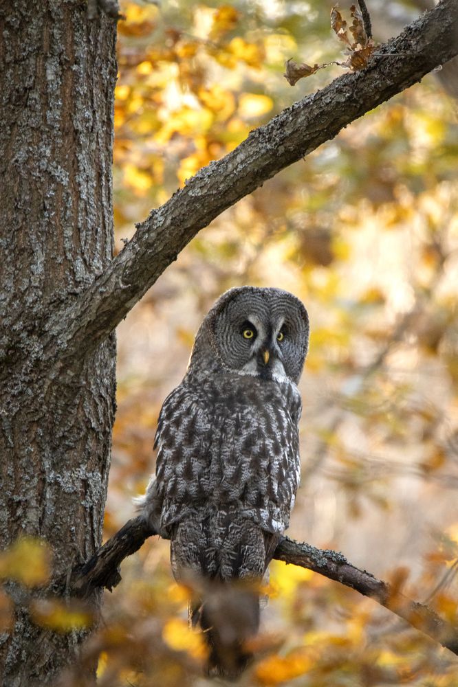 Photograph by Илья Ермакович