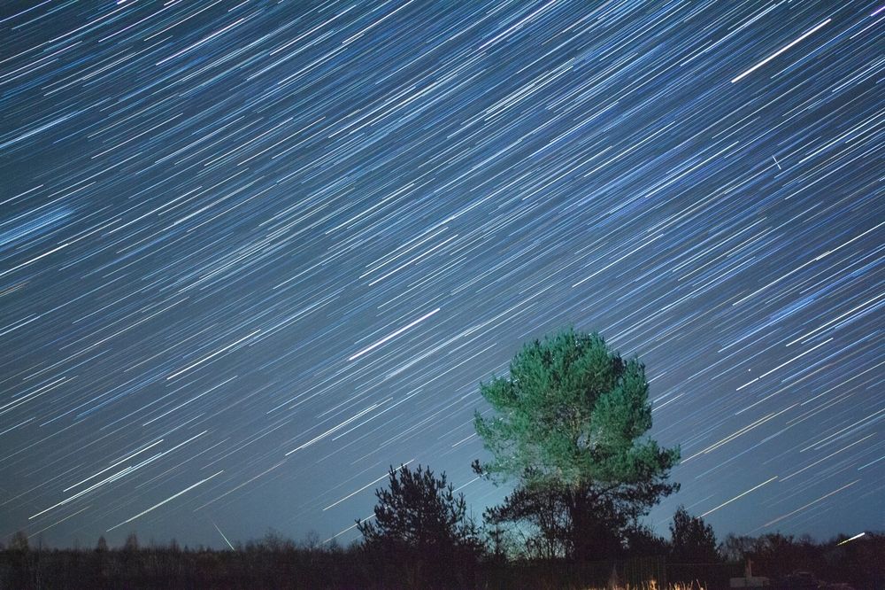 Photograph by Vera Komarova