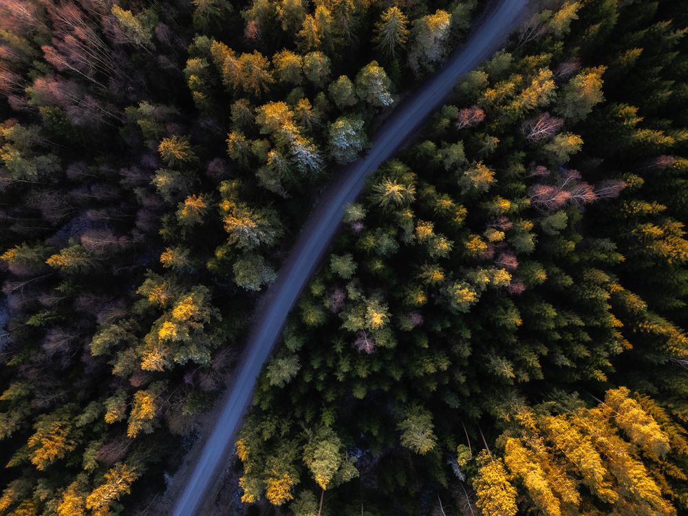 Photograph by Linda Persson