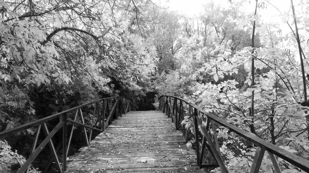 Photograph by Ирина Бочарова