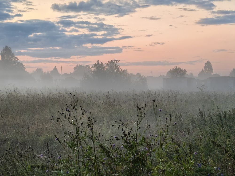 Photograph by Елена Акимова