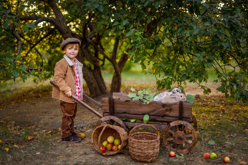 Фотография автора Анна Говорухина